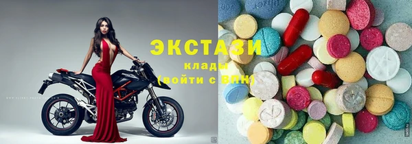винт Инта