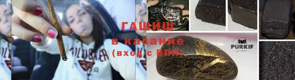 винт Инта