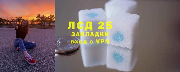 молекула духа Каменка