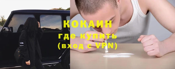 трава Иннополис